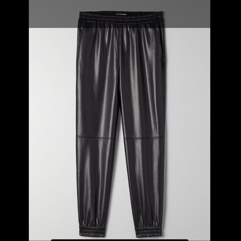 Aritzia Babaton Zedel Leather Jogger